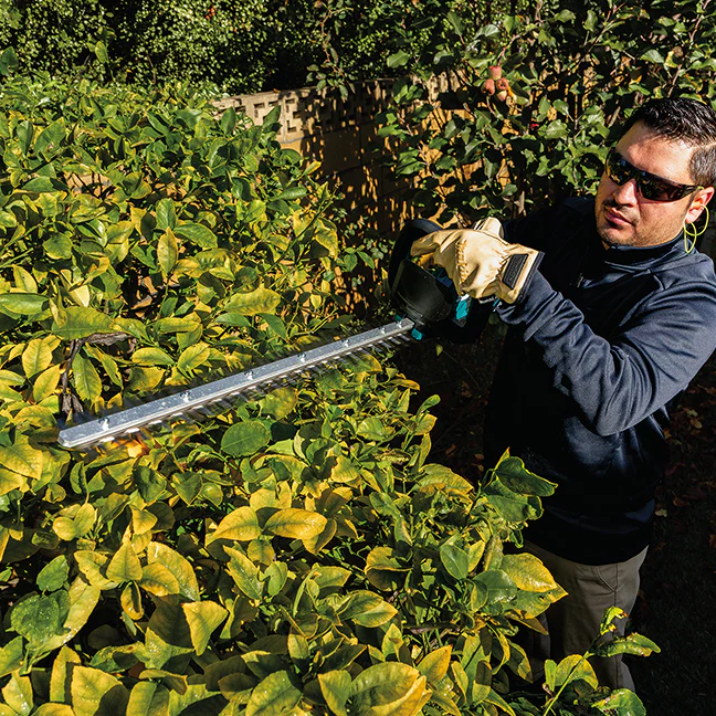 18V LXT BRUSHLESS 24" HEDGE TRIMMER, TOO - Image 4